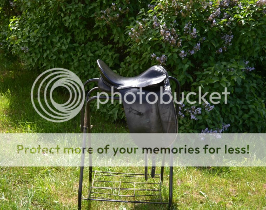 Several saddles for sale! Stubben, Wintec, Seville. The Horse Forum