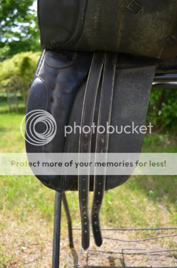 Several saddles for sale! Stubben, Wintec, Seville. The Horse Forum