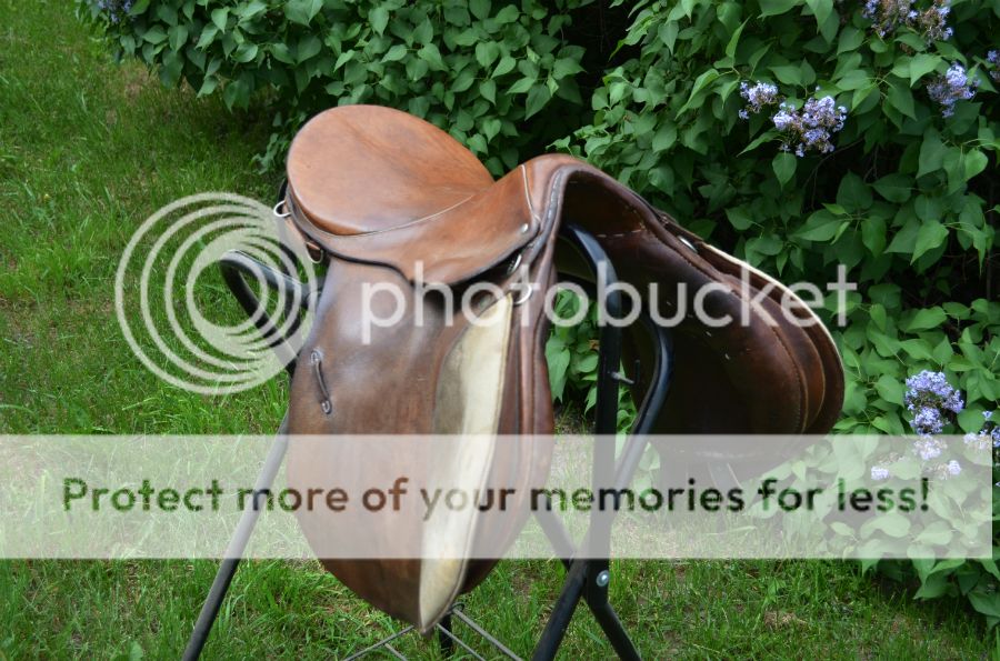 Several saddles for sale! Stubben, Wintec, Seville. The Horse Forum