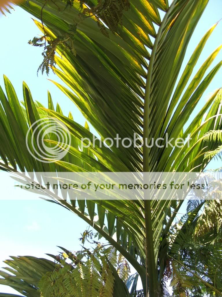 DSCF0667.jpg