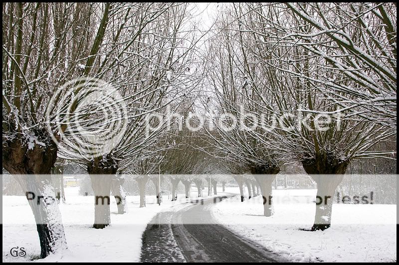 Fotografie
