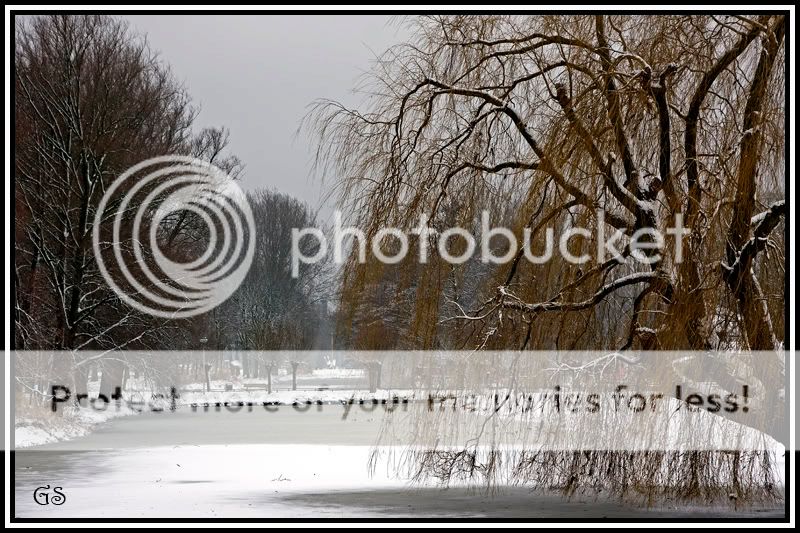 Fotografie