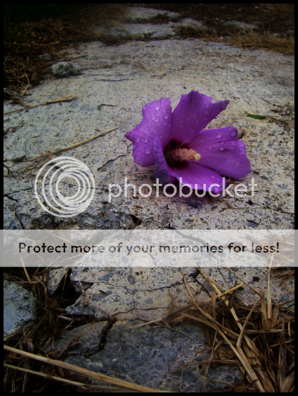 47 Pictures, Images and Photos