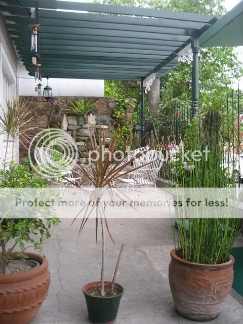 Garden,Flowers