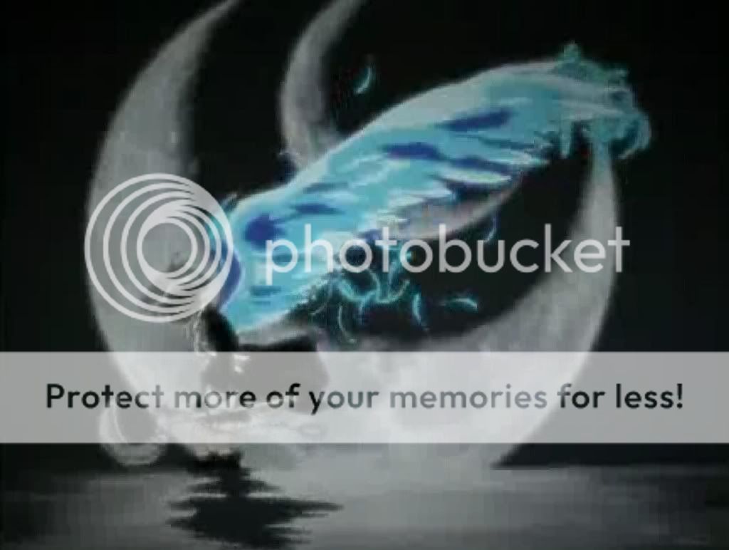 Loki Wings 1 Pictures, Images and Photos