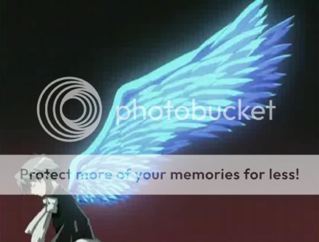 Loki Wings 2 Pictures, Images and Photos