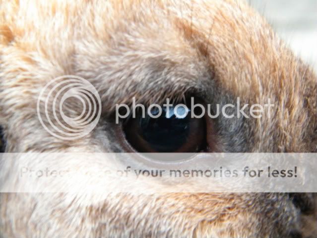 Fotografie
