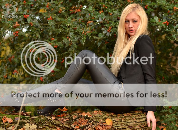 Fotografie