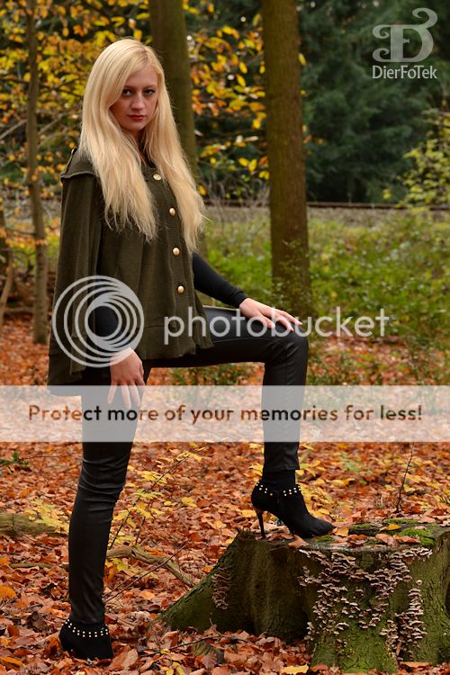 Fotografie