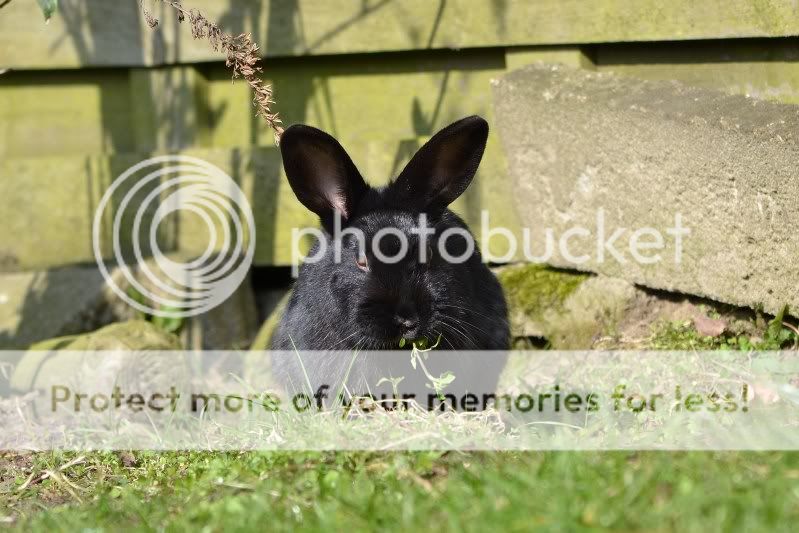 Fotografie