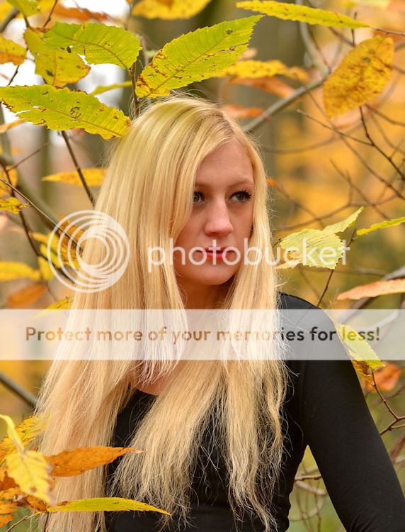 Fotografie