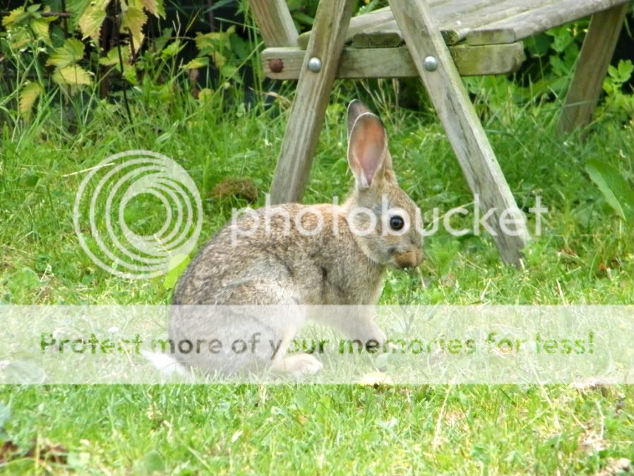 Fotografie