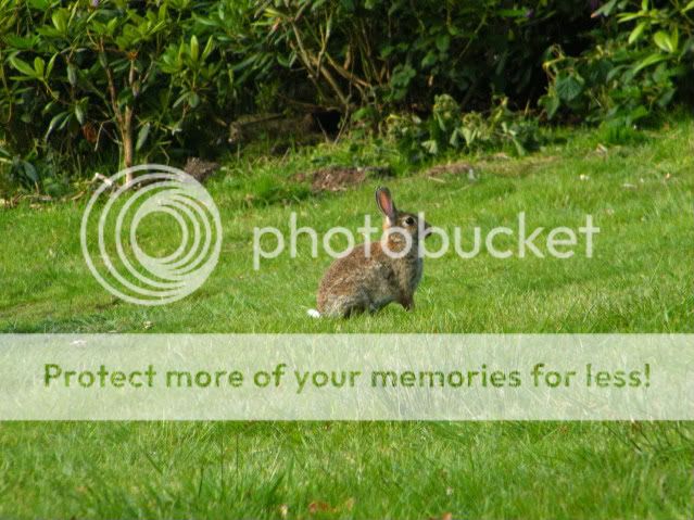 Fotografie