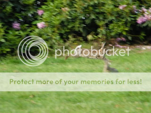 Fotografie
