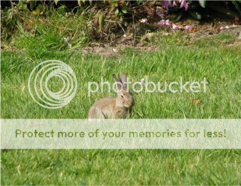 Fotografie
