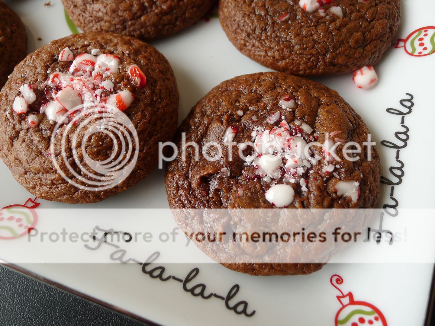 choco-mint christmas cookies recipe