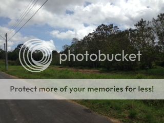 LAS LOMAS – 26 ½ Acres for sale. Trinidad + Tobago Property for