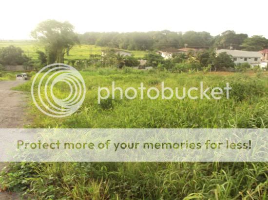 25 ACRES PETER HILL ROAD, PIERRE VILLE , MAYARO EAST TRINIDAD LAND FOR