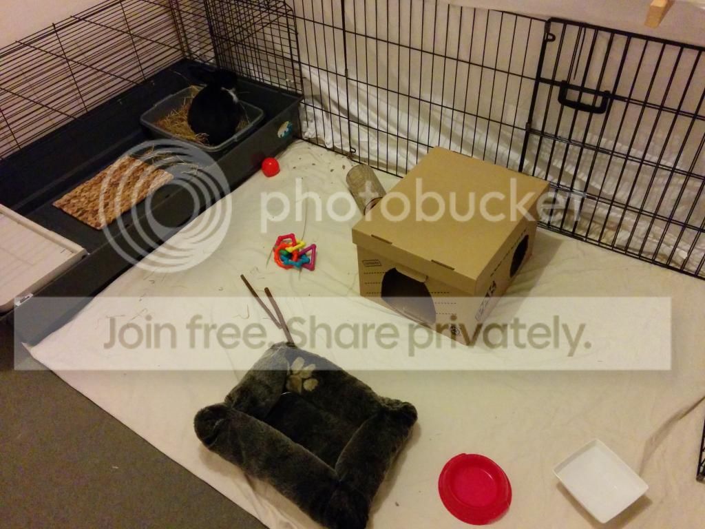  photo IMG_20140816_205501.jpg