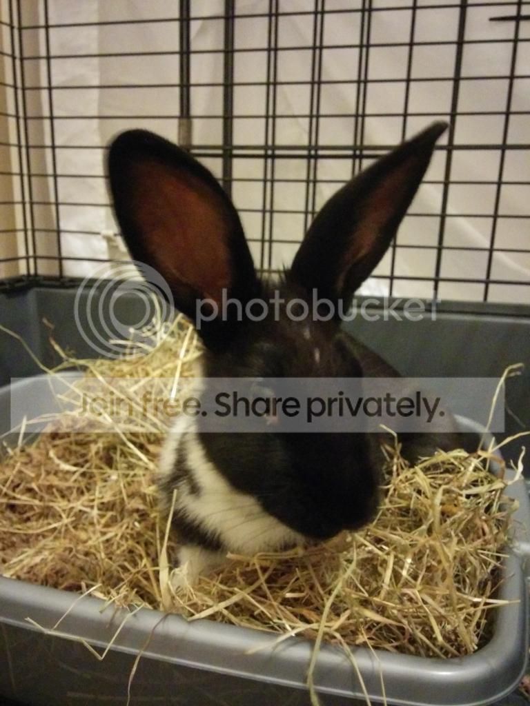  photo IMG_20140816_205826.jpg