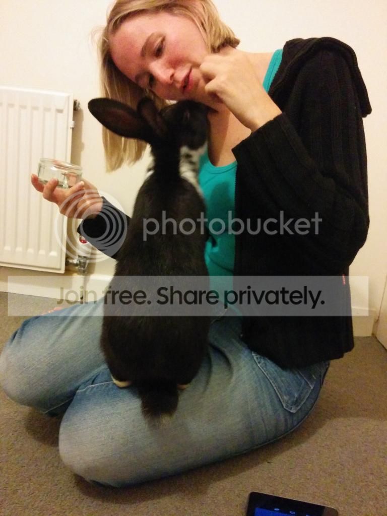  photo IMG_20140816_213813.jpg