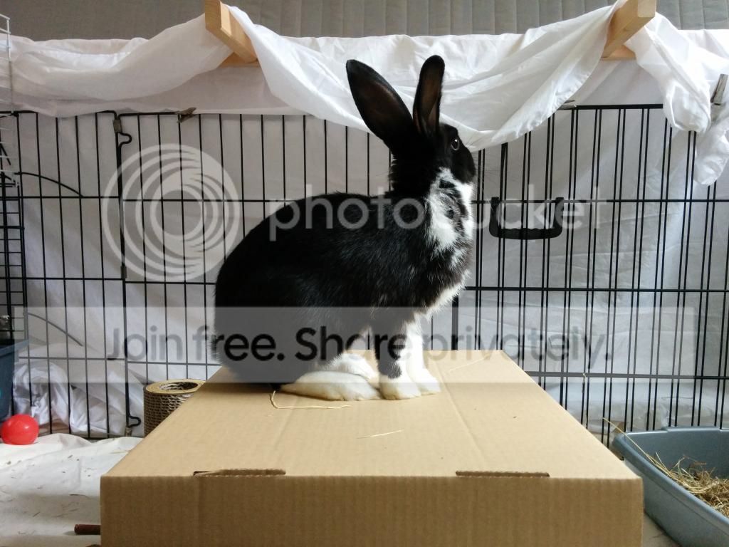 Barry photo IMG_20140819_145434.jpg