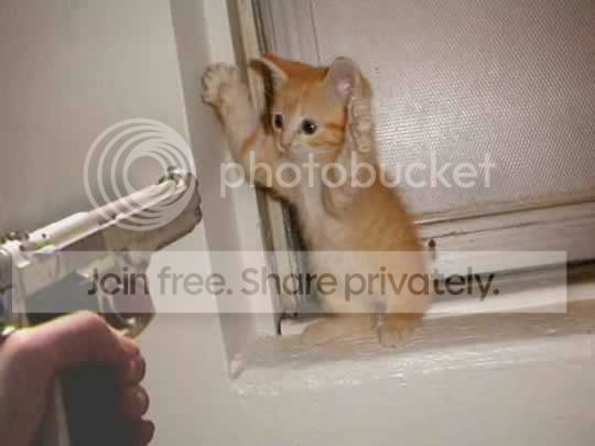 cute_stickup.jpg